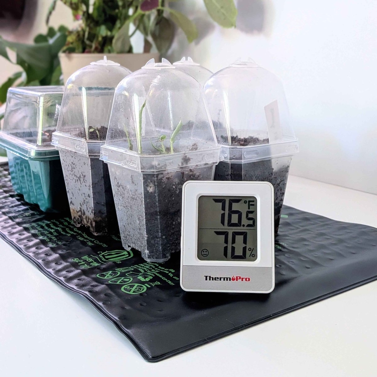 Seedling Heat Mat - Plantflix