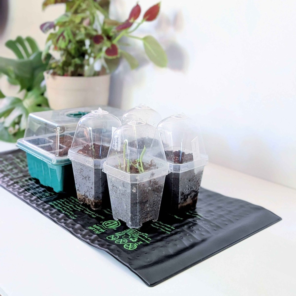 Seedling Heat Mat - Plantflix