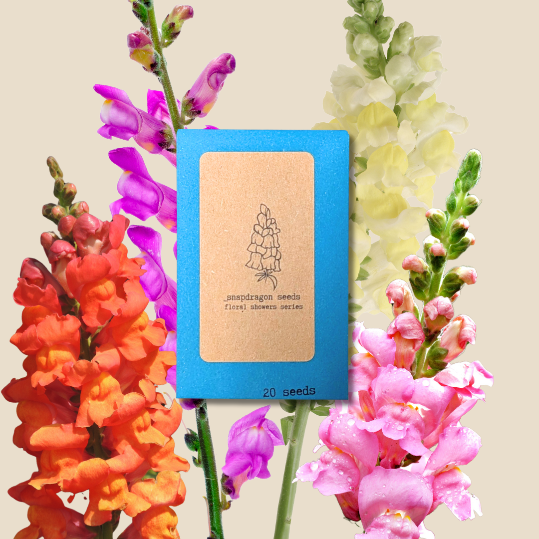 Snapdragon Mix Seeds - Plantflix