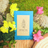 Snapdragon Mix Seeds - Plantflix