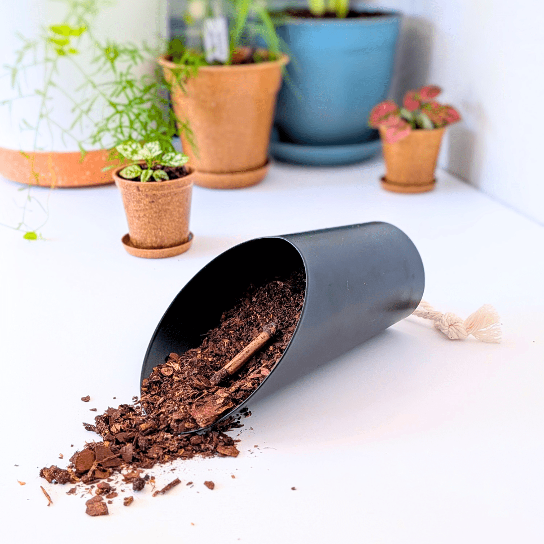 Soil Scoop - Modern Sprout - Plantflix