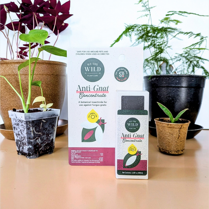 Anti-Gnat Concentrate- We the Wild