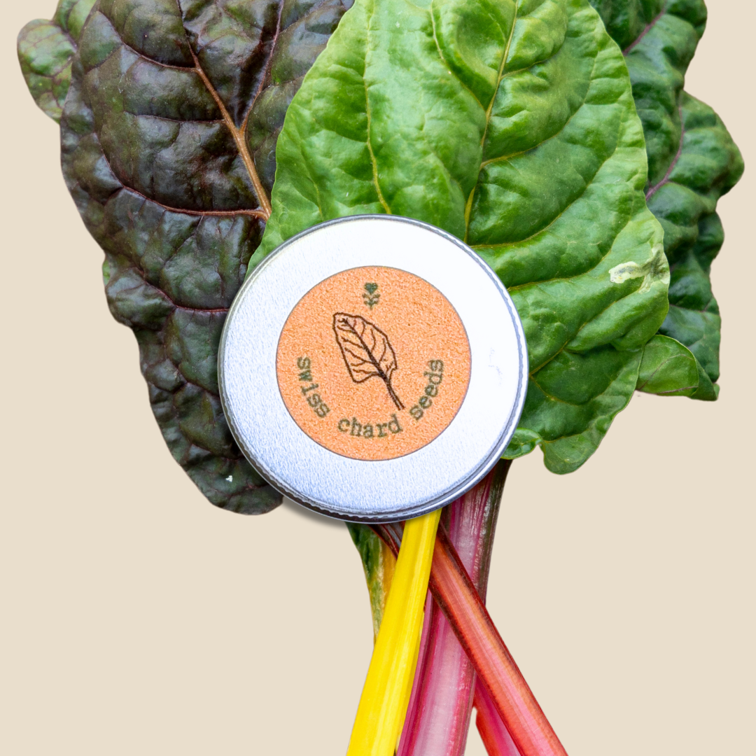 Organic Rainbow Swiss Chard Seeds