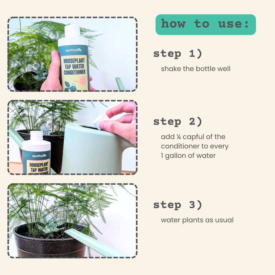 Houseplant Tap Water Conditioner- Southside