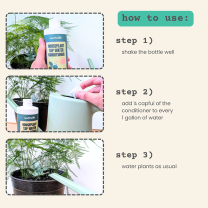 Houseplant Tap Water Conditioner- Southside