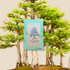 Taxodium Distichum &