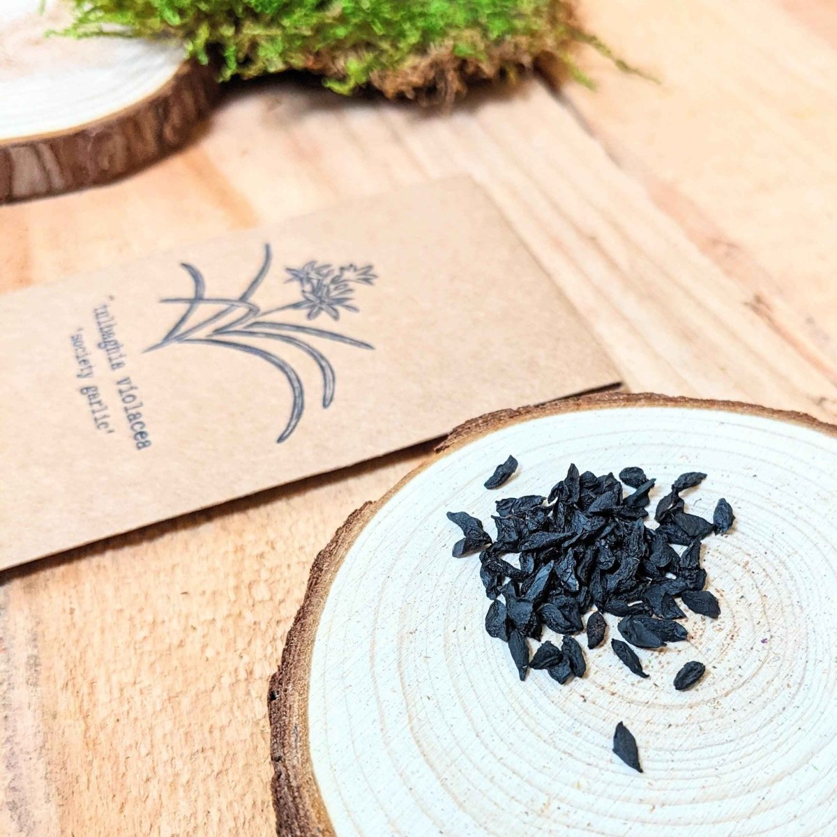 black garlic seeds for planting Tulbaghia Violacea Society Garlic Seeds