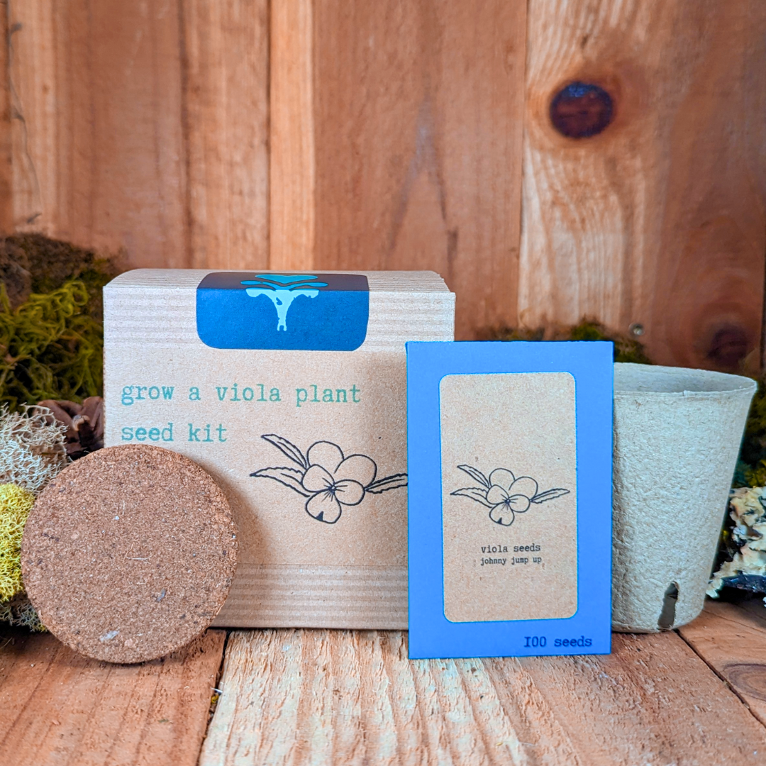 Grow a Viola Plant Seed Kit