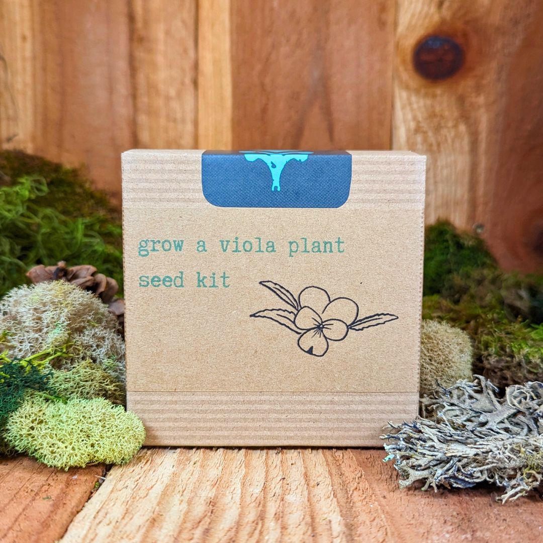 Grow a Viola Plant Seed Kit