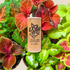 Wizard Coleus Mix Seeds - Plantflix