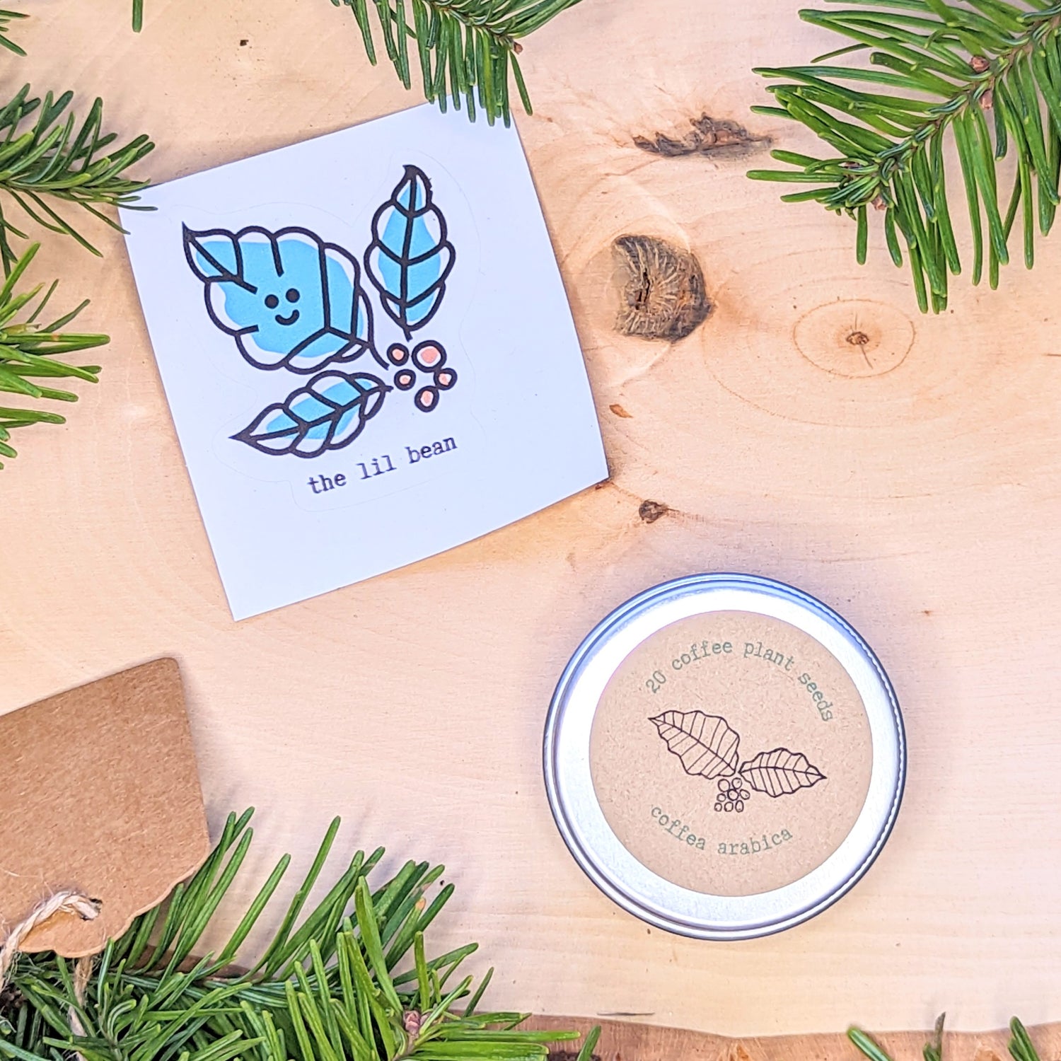 Holiday Seed Ornament