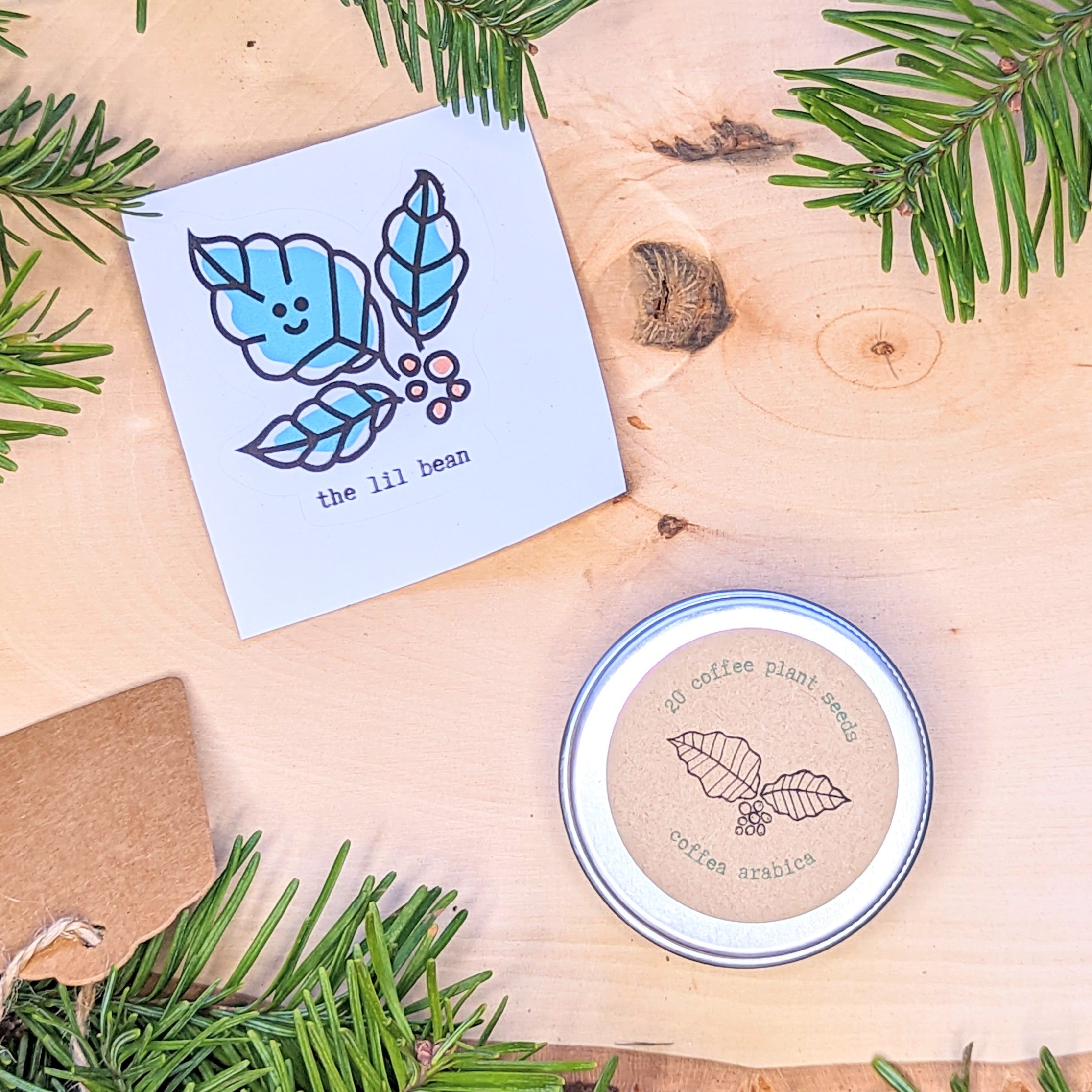 Holiday Seed Ornament