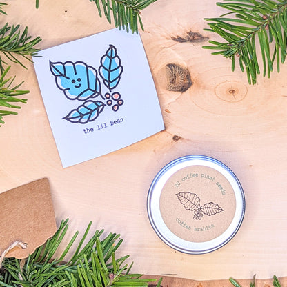 Holiday Seed Ornament