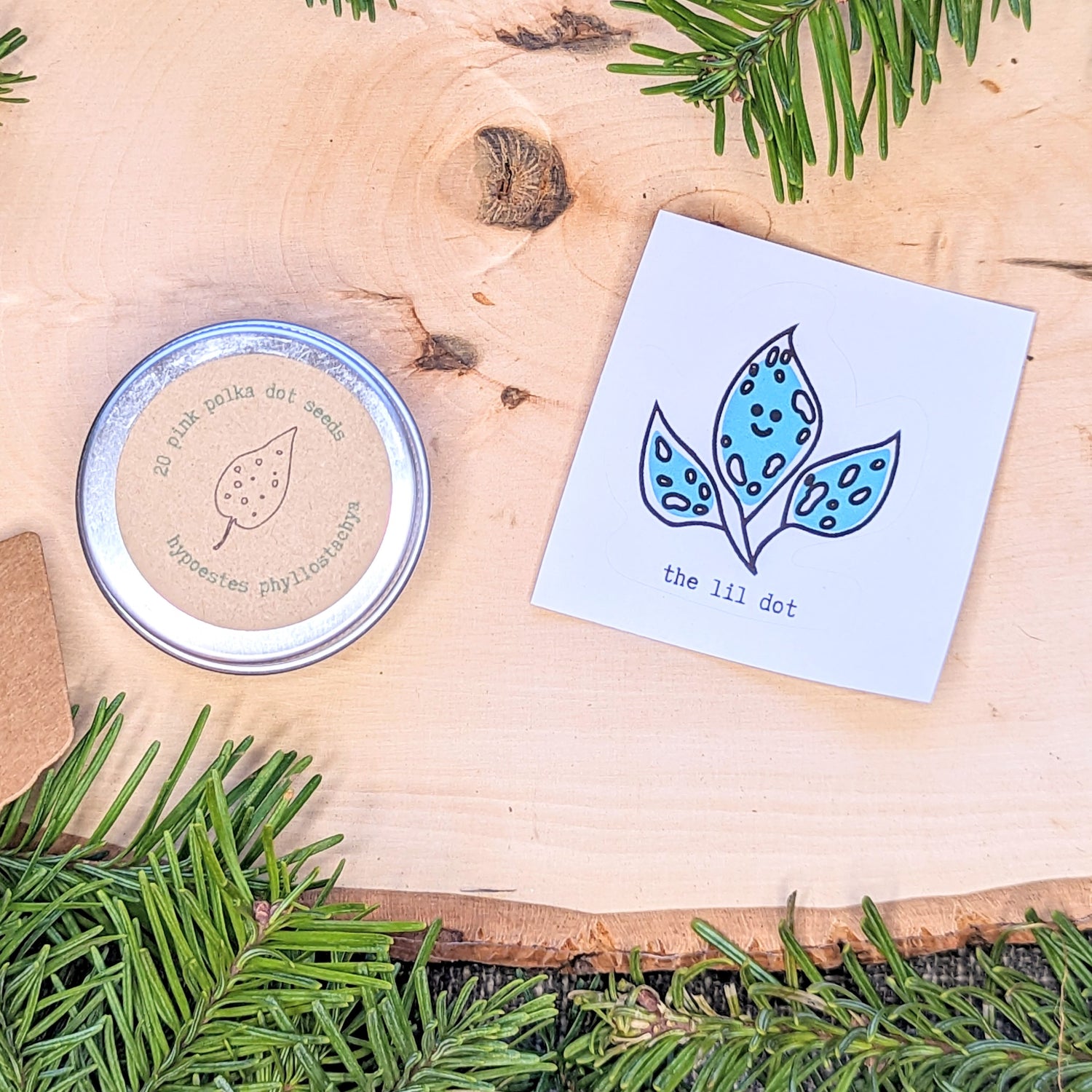 Holiday Seed Ornament