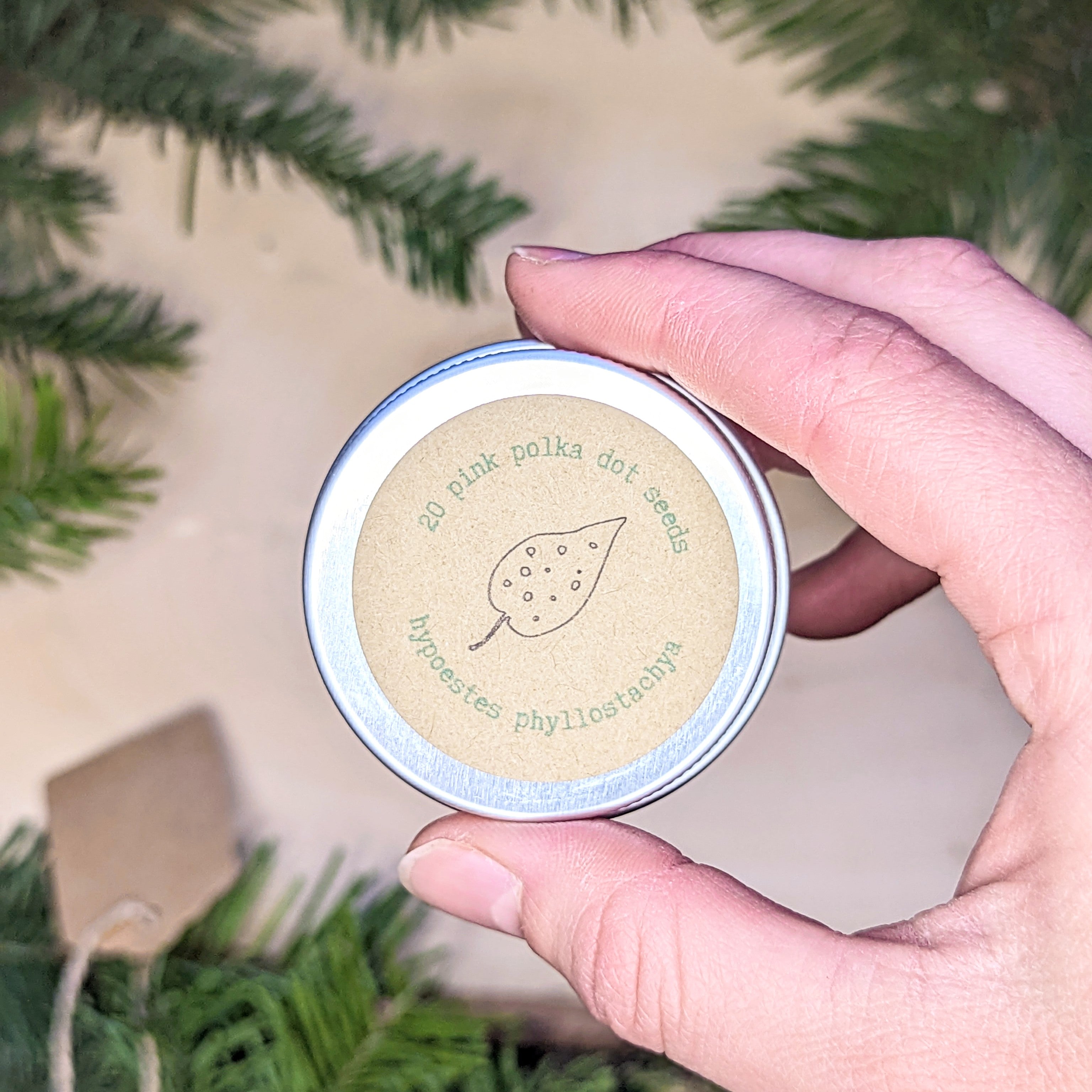 Holiday Seed Ornament