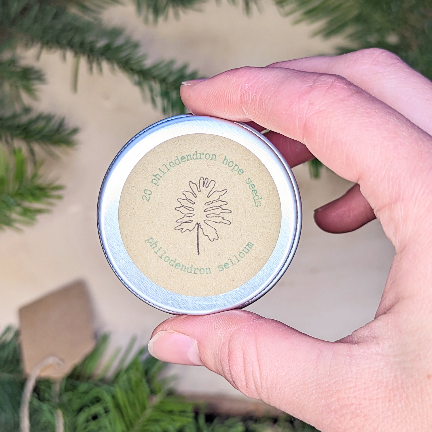 Holiday Seed Ornament