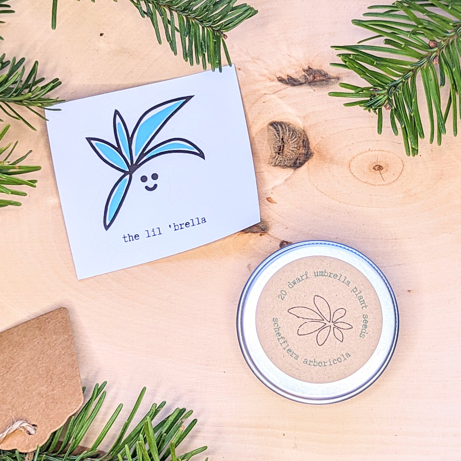 Holiday Seed Ornament