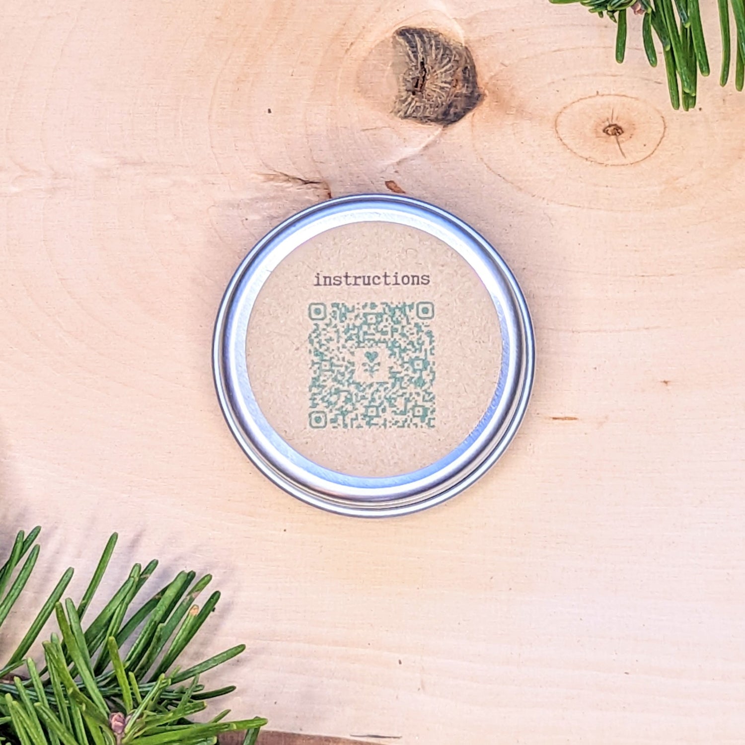 Holiday Seed Ornament