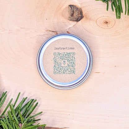 Holiday Seed Ornament