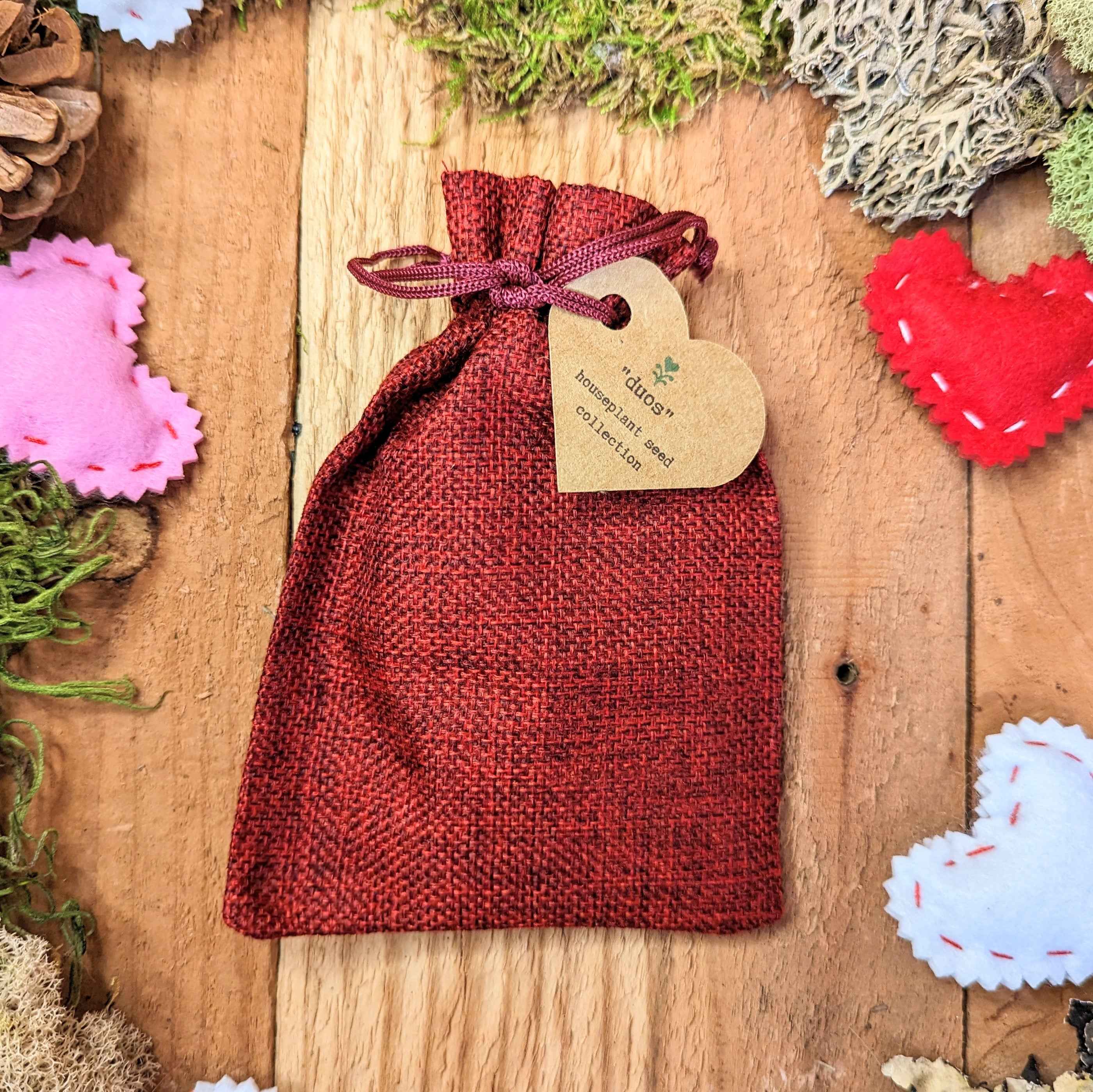 "Duos" Houseplant Seed Collection