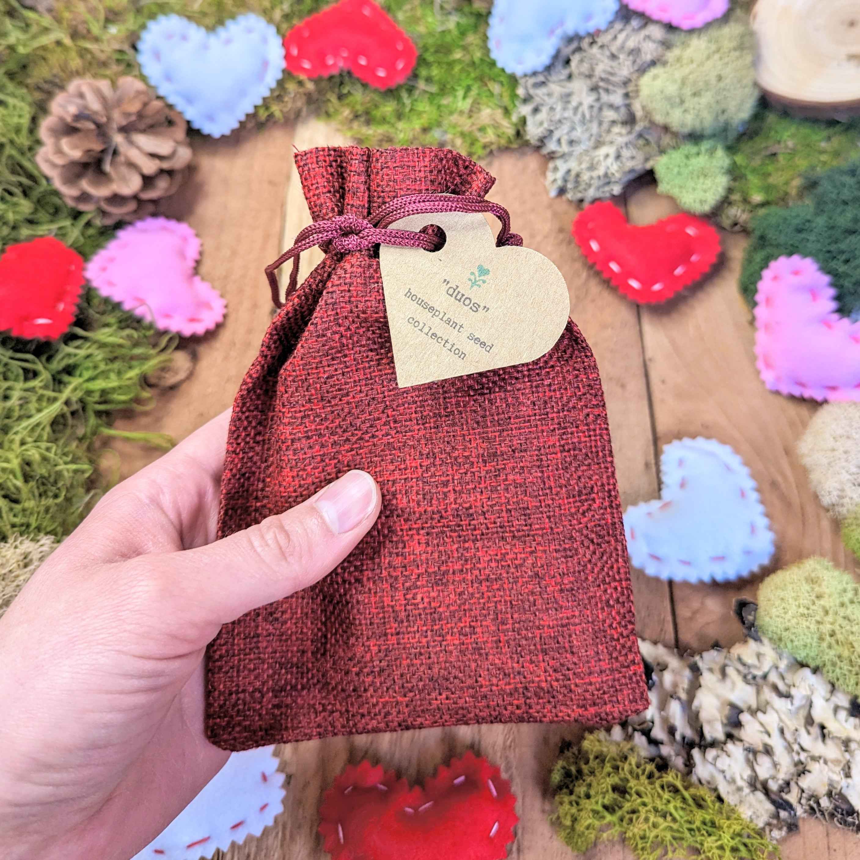 "Duos" Houseplant Seed Collection