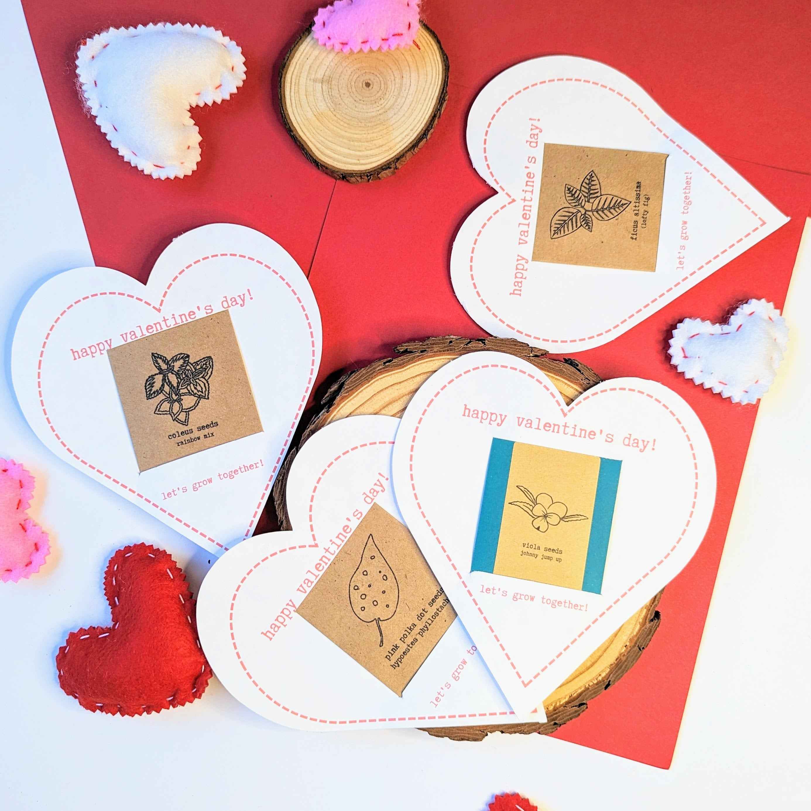 Houseplant Seed Valentine&