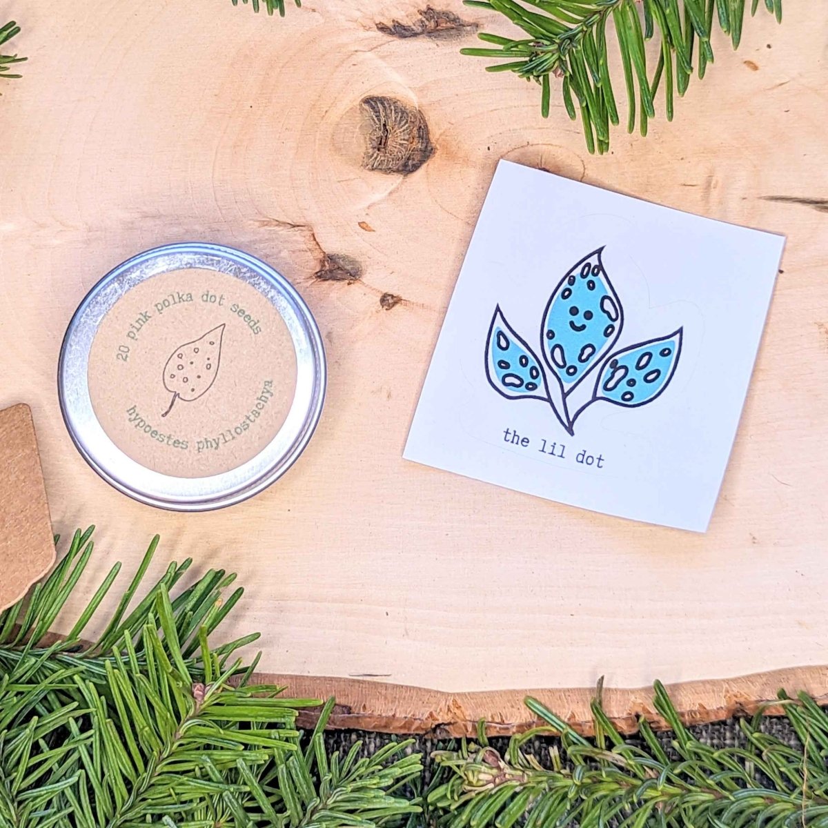 Holiday Seed Ornament - Plantflix