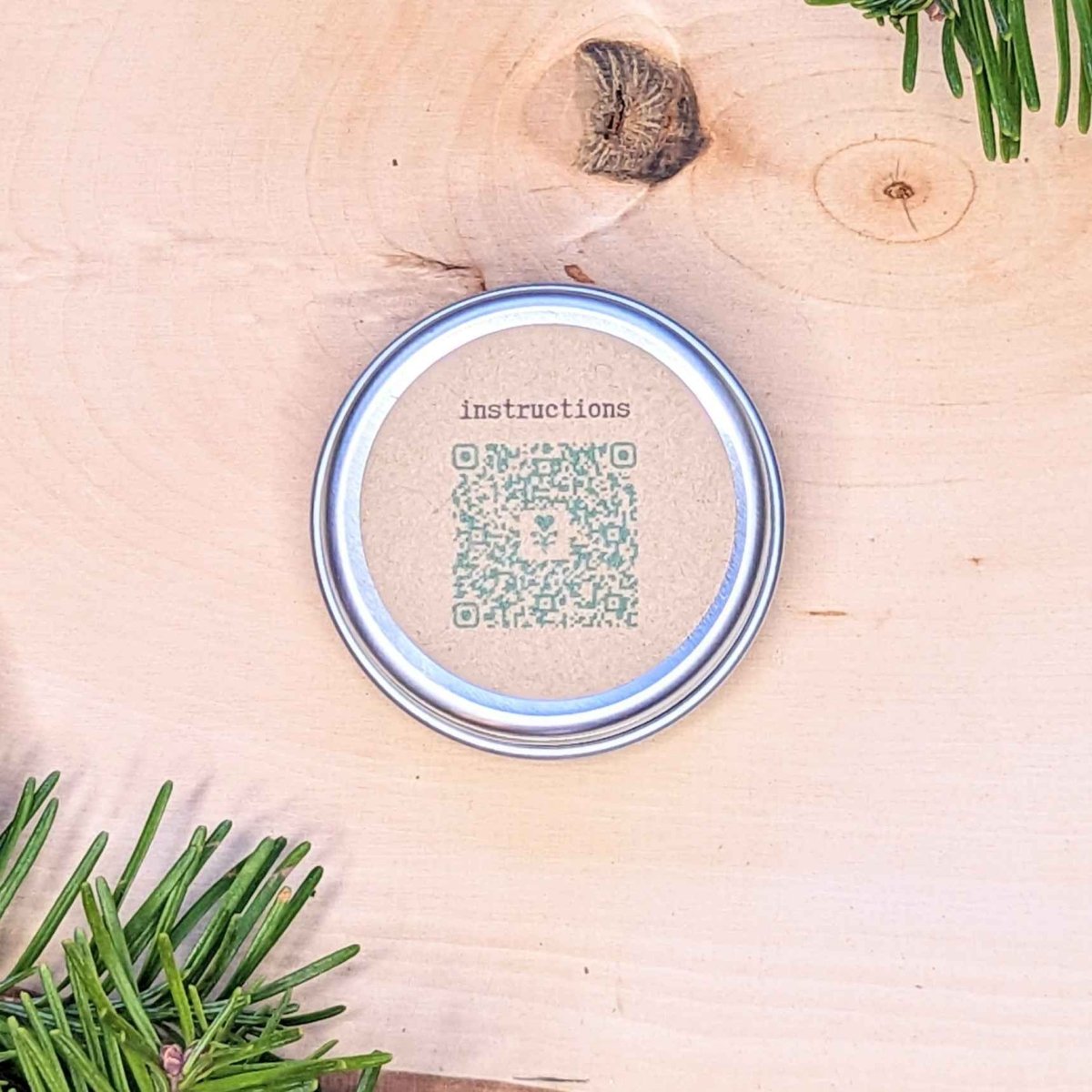 Holiday Seed Ornament - Plantflix