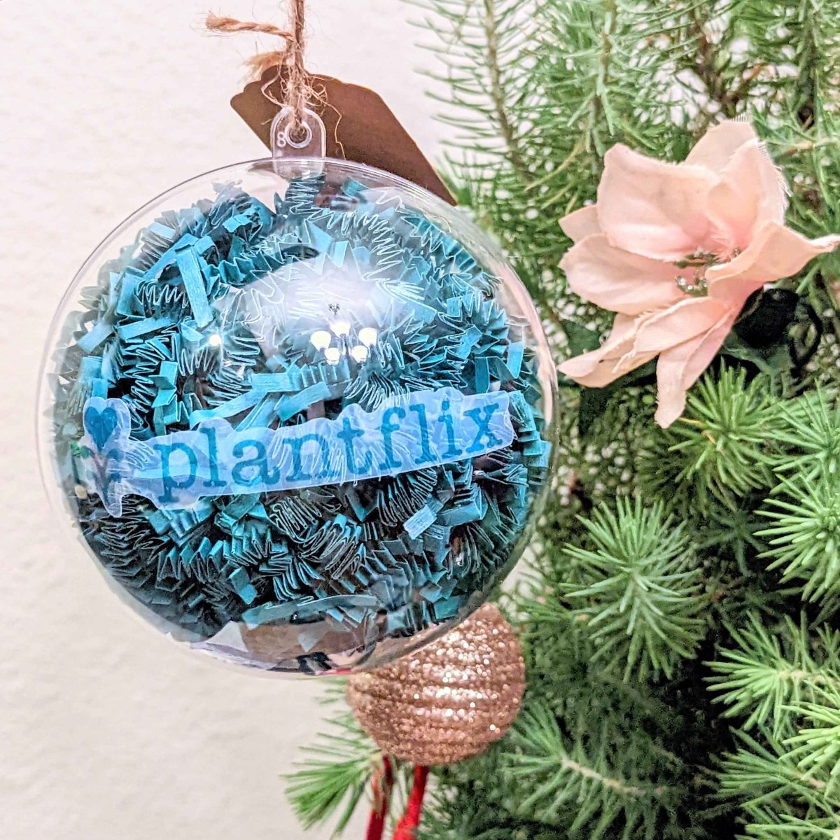 Holiday Seed Ornament - Plantflix