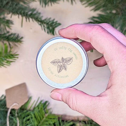 Holiday Seed Ornament - Plantflix