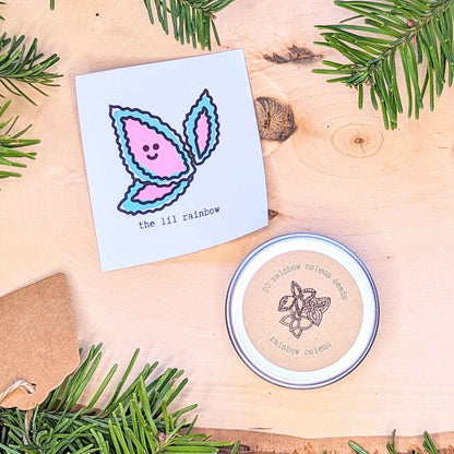 Holiday Seed Ornament - Plantflix